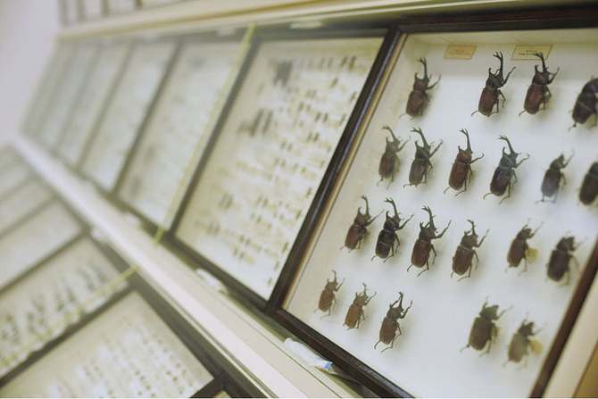 直川憩の森公園