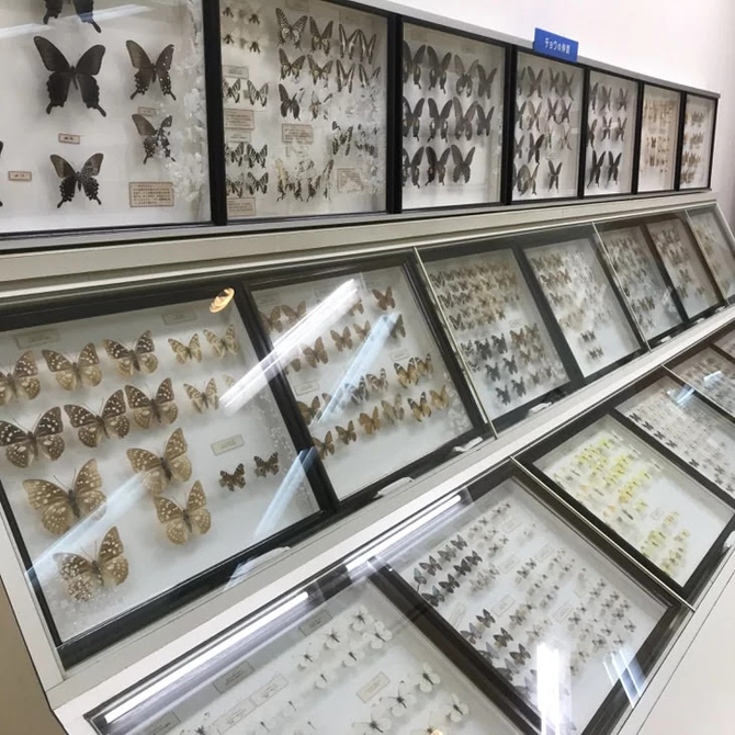 直川憩の森公園