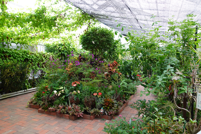 フラワーパークかごしま