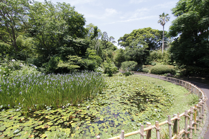 フラワーパークかごしま