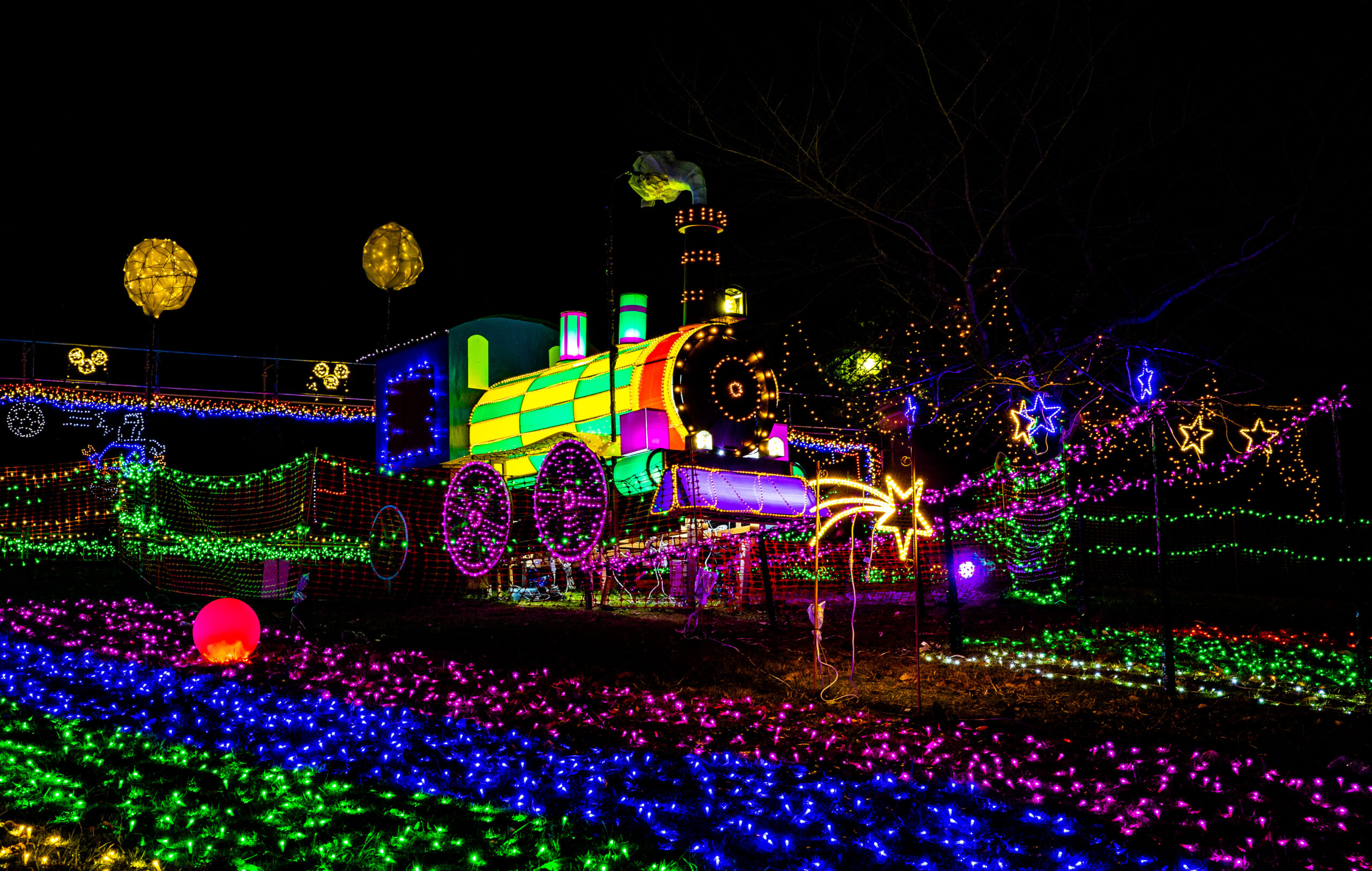 （画像提供：（一社）城陽市観光協会）