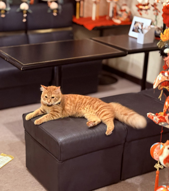 こだまの湯　山口屋旅館