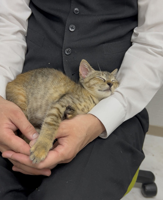 ヴィラ勝山アヴェール