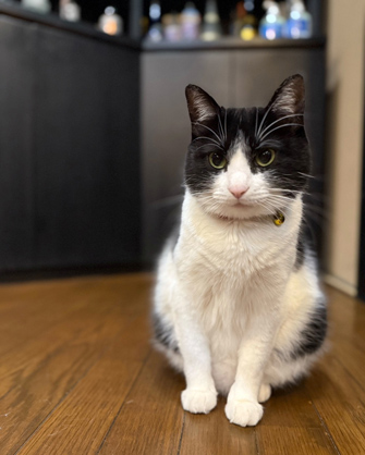 宿房　花しのぶ