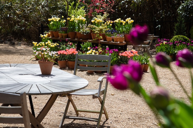 NICOLAI BERGMANN HAKONE GARDENS（ニコライ バーグマン 箱根 ガーデンズ）