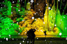 岐阜の冬をまるごと満喫♪雪遊び・グルメ・温泉など6つの楽しみ方ガイド