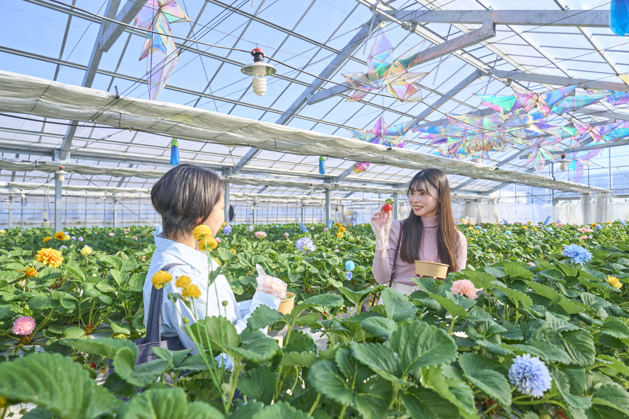 京成バラ園「オズの国のストロベリーハント」