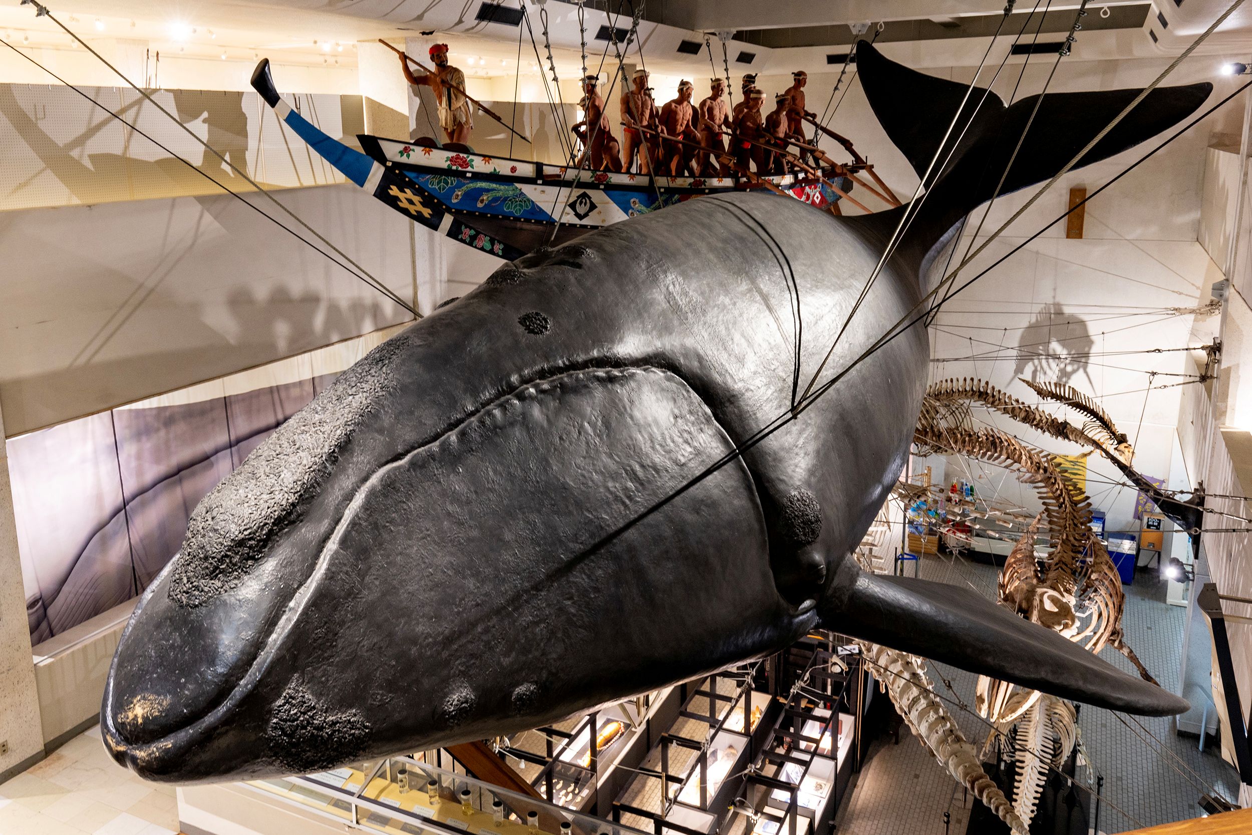 太地町立くじらの博物館