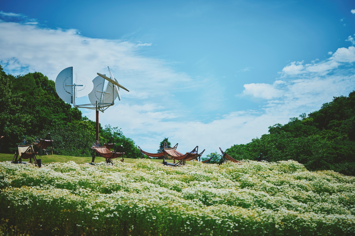 神戸布引ハーブ園/ロープウェイ