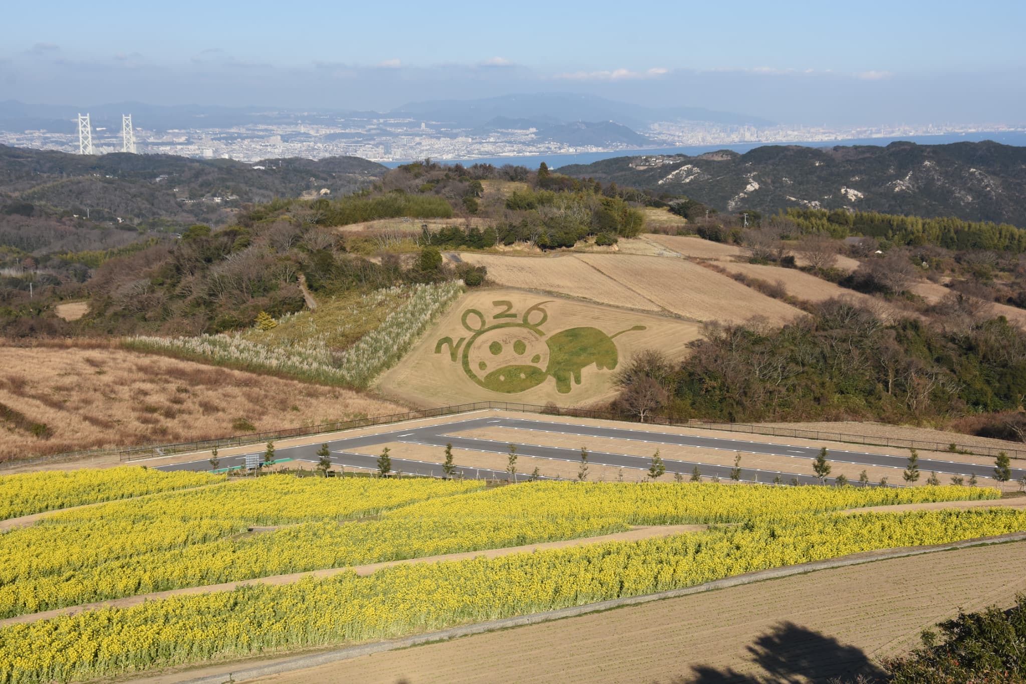 画像提供：（C）あわじ花さじき