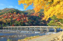 【京都】嵐山観光の「半日コース」！朝の竹林散策やライトアップなど時間ごとに楽しめる…