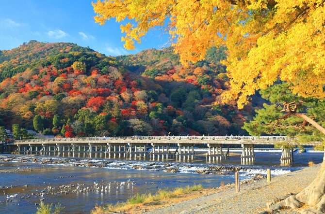 【京都】嵐山観光の「半日コース」!朝の竹林散策やライトアップなど時間ごとに楽しめる<2025>