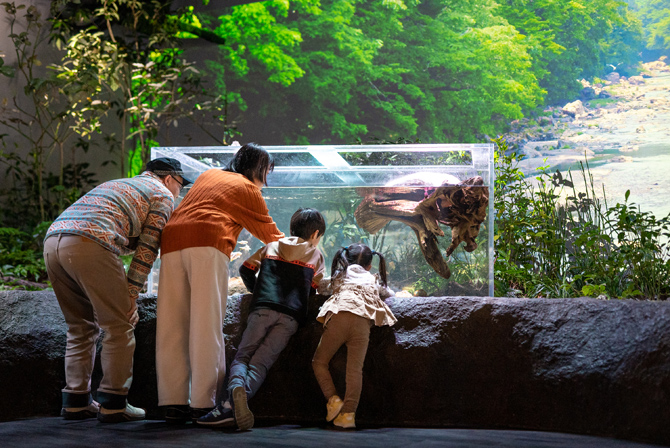 カワスイ 川崎水族館