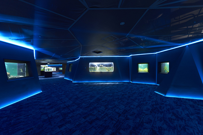 カワスイ 川崎水族館