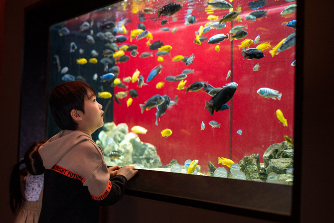 カワスイ 川崎水族館
