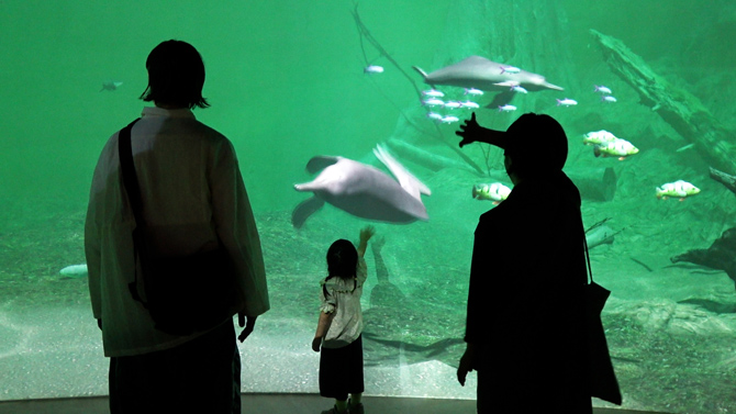 カワスイ 川崎水族館