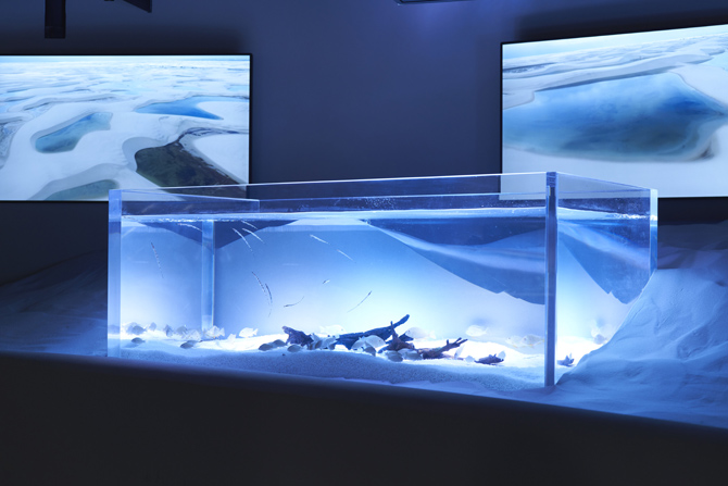 カワスイ 川崎水族館