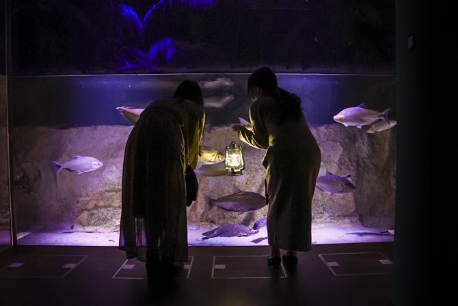 カワスイ 川崎水族館