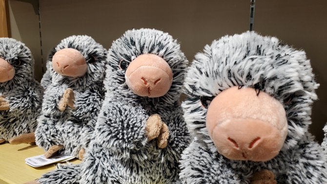 カワスイ 川崎水族館