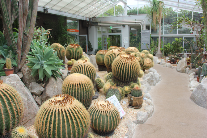 福岡市動植物園