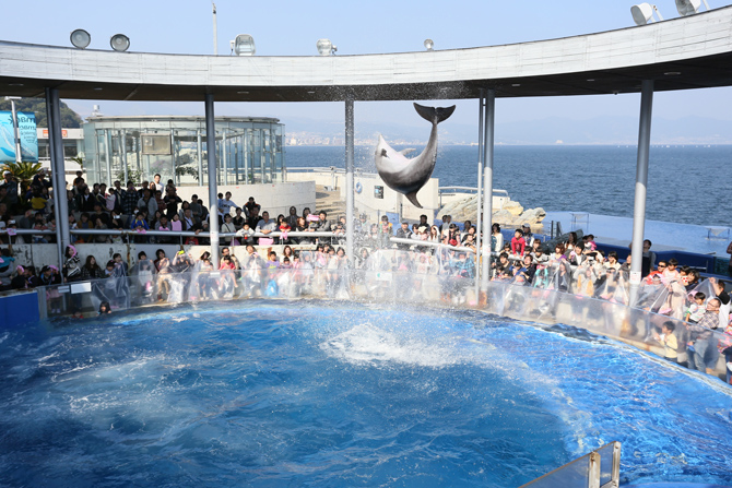 大分マリーンパレス水族館「うみたまご」
