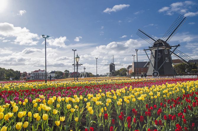 【九州】春のおすすめデートスポット28選!カップルで絶景やレジャーを楽しもう