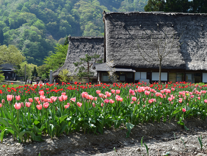 富山県「五箇山」