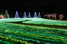 【九州】冬のおすすめデートスポット22選！カップルで絶景やクリスマスを楽しもう