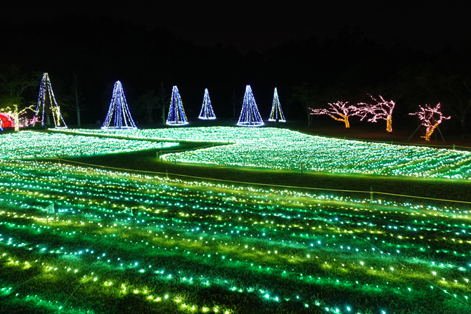 フラワーパークかごしま