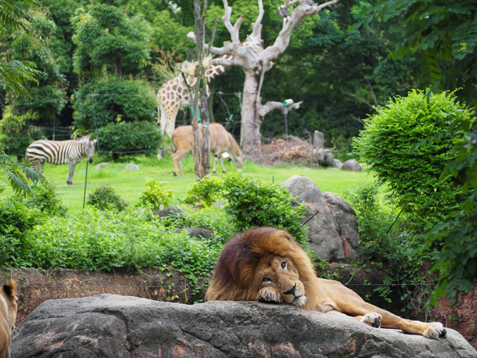 天王寺動物園