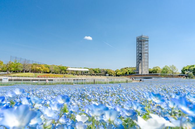 【東海】カップルで行きたい春のおすすめデートスポット30選！公園やレジャー施設も