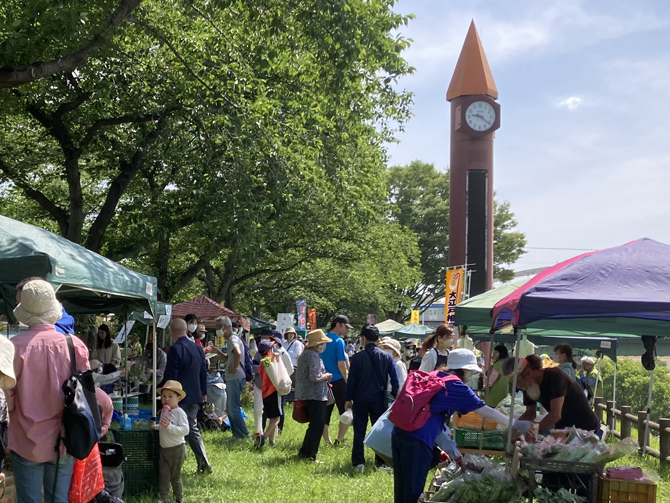 うんがいい！朝市