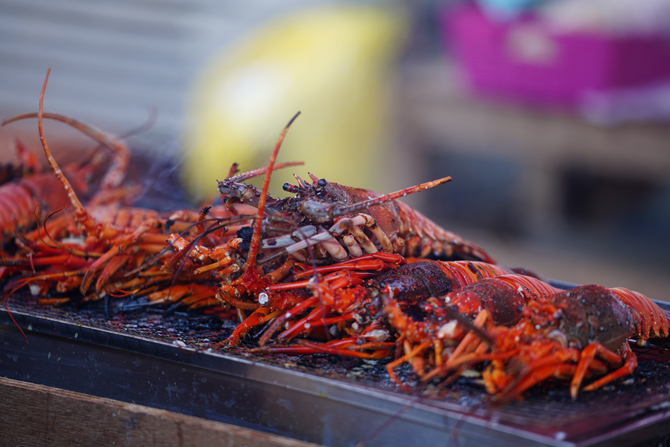 大原漁港 港の朝市