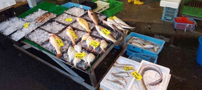 田尻漁港 日曜朝市