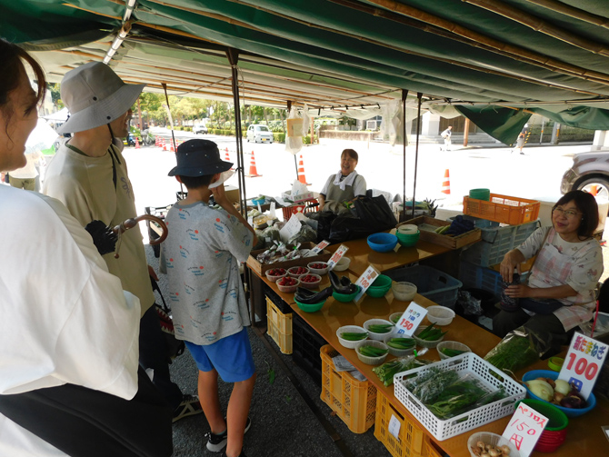 土佐の日曜市（街路市）