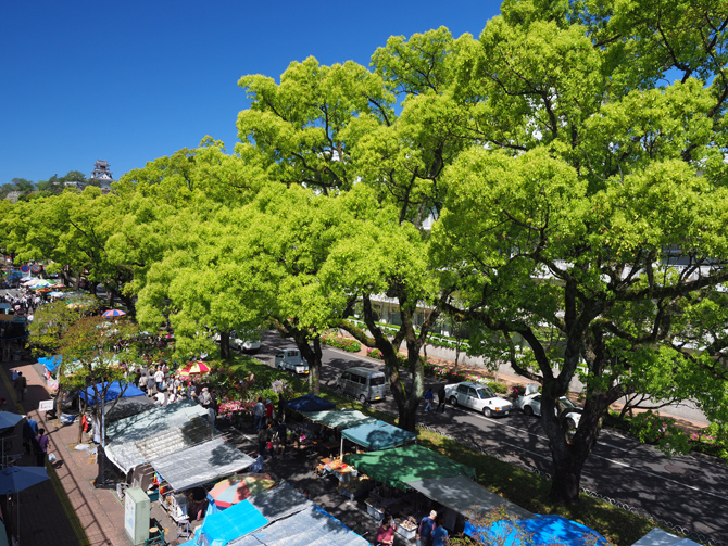 土佐の日曜市（街路市）