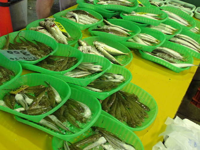 漁師さんの朝市