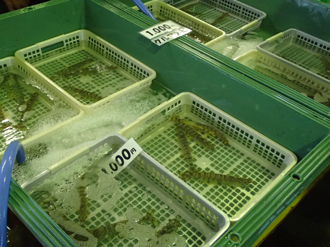 漁師さんの朝市