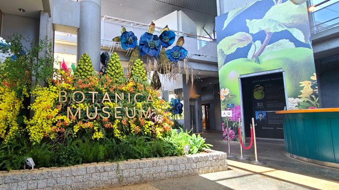BOTANICA MUSEUM