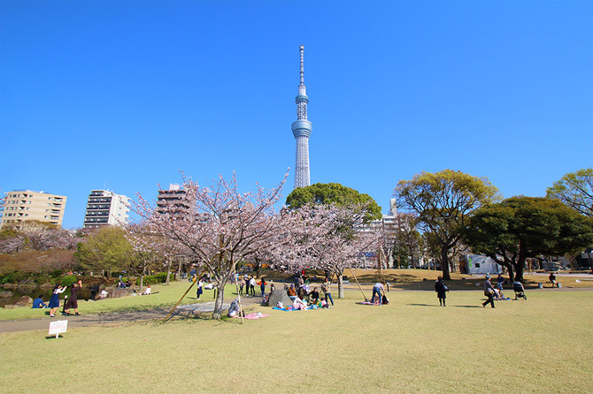 墨田区立隅田公園
