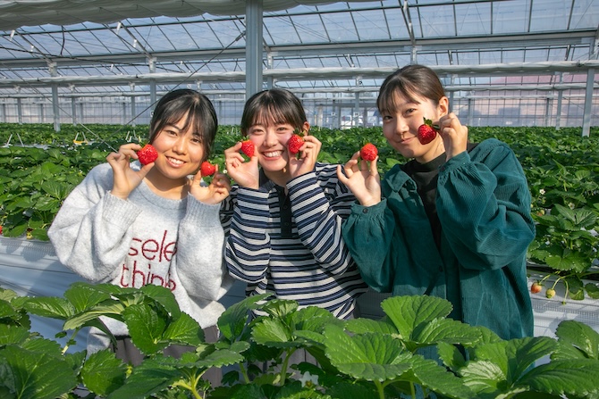スローライフリゾート いちごの里