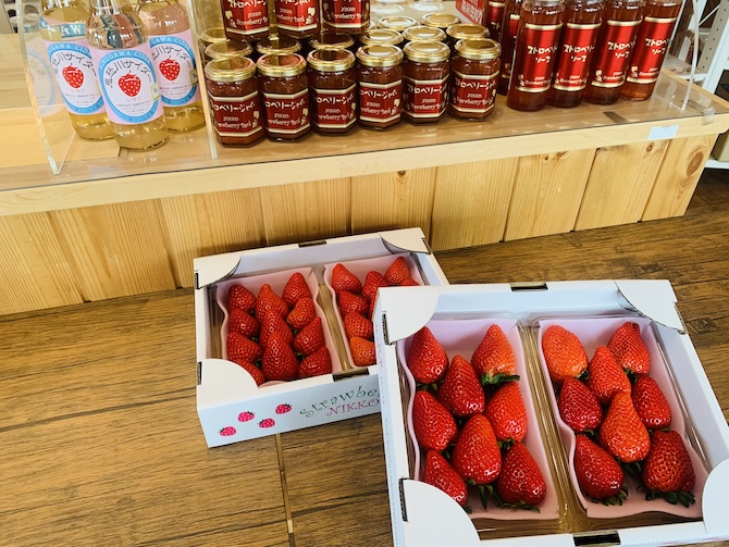 日光ストロベリーパーク