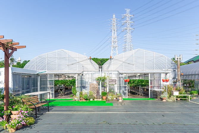 ストロベリーハウスEBINA