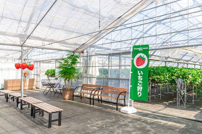 ストロベリーハウスEBINA