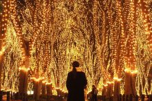 【宮城】イルミネーションやナイトライフに、日帰り旅も＋。冬の仙台は夜がアツい！