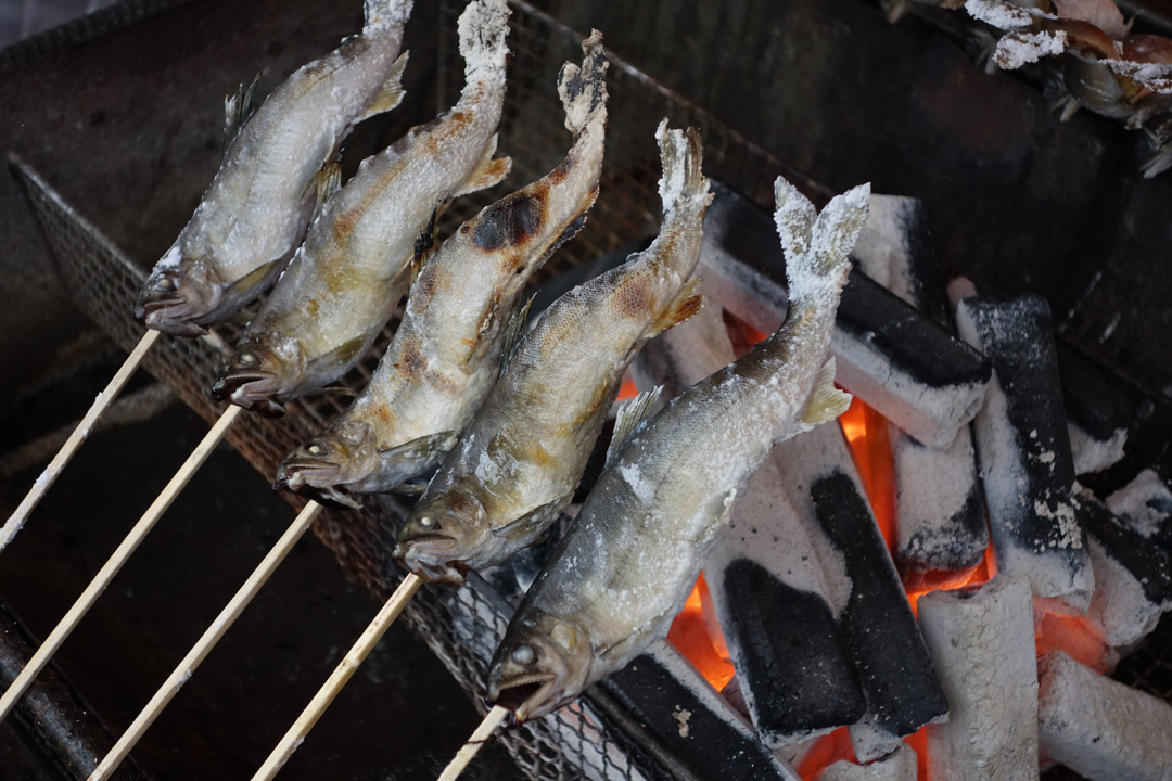 道の駅どうし（屋外テント）