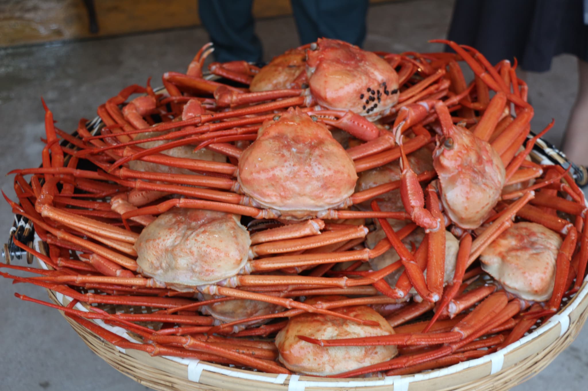 糸魚川荒波あんこうVS本ズワイガニ冬の二大激ウマグルメフェア