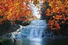 【関東近郊】絶景紅葉スポット32選！名所の見頃やイベント情報も紹介＜2025＞