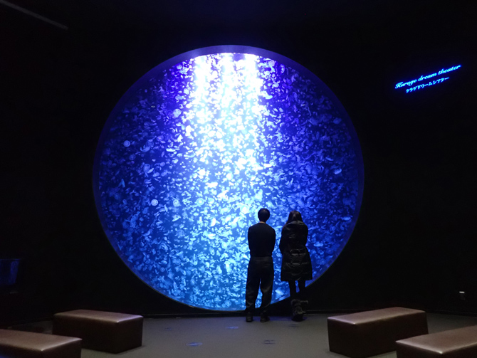 鶴岡市立加茂水族館