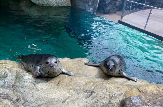 アクアマリンふくしま